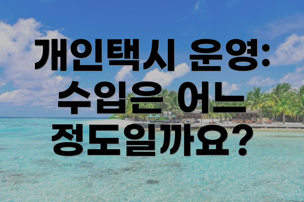 개인택시 운영: 수입은 어느 정도일까요?