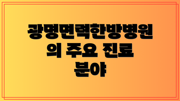광명면력한방병원의 주요 진료 분야