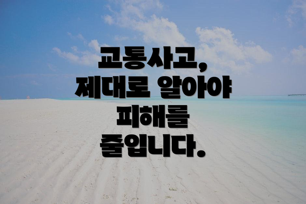 교통사고, 제대로 알아야 피해를 줄입니다.