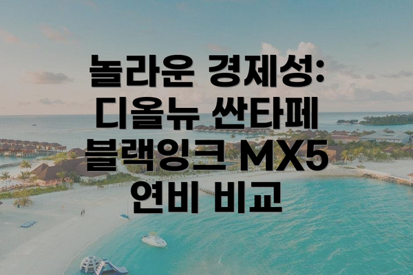 놀라운 경제성: 디올뉴 싼타페 블랙잉크 MX5 연비 비교
