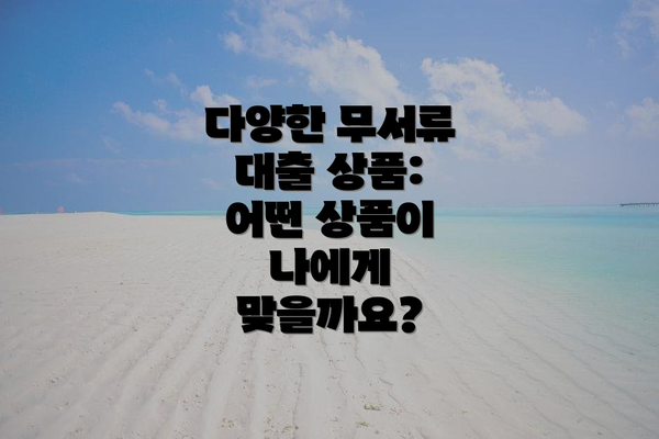 다양한 무서류 대출 상품: 어떤 상품이 나에게 맞을까요?