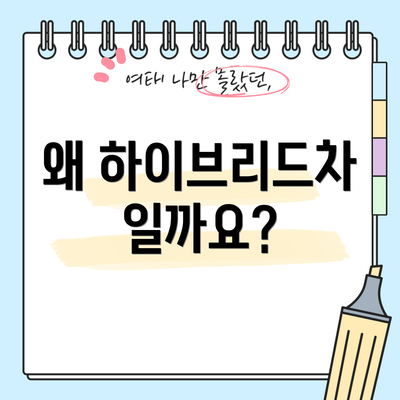 왜 하이브리드차일까요?