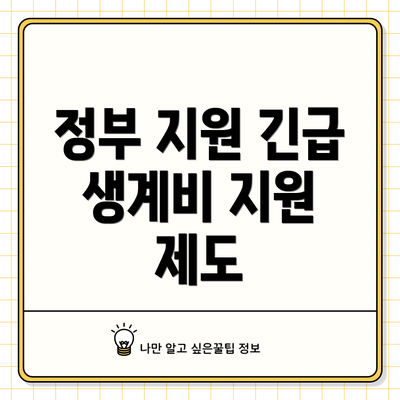 정부 지원 긴급 생계비 지원 제도