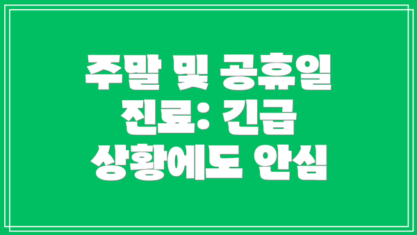 주말 및 공휴일 진료: 긴급 상황에도 안심