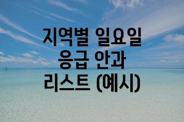 지역별 일요일 응급 안과 리스트 (예시)