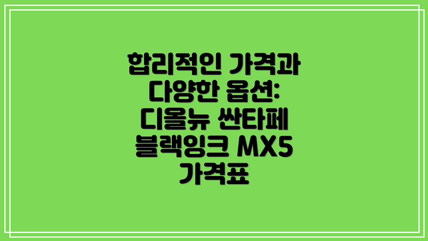 합리적인 가격과 다양한 옵션: 디올뉴 싼타페 블랙잉크 MX5 가격표