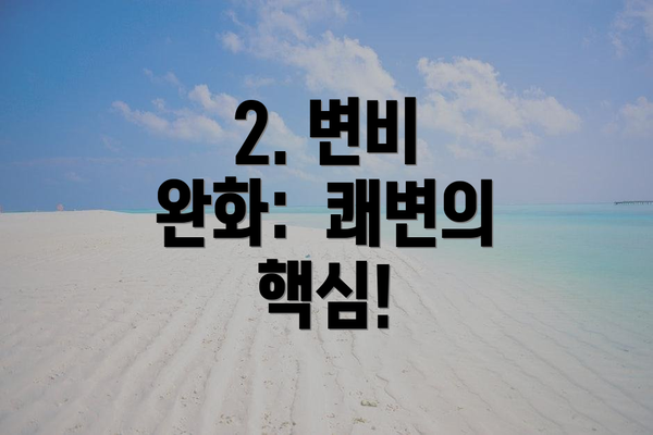 2. 변비 완화:  쾌변의 핵심!