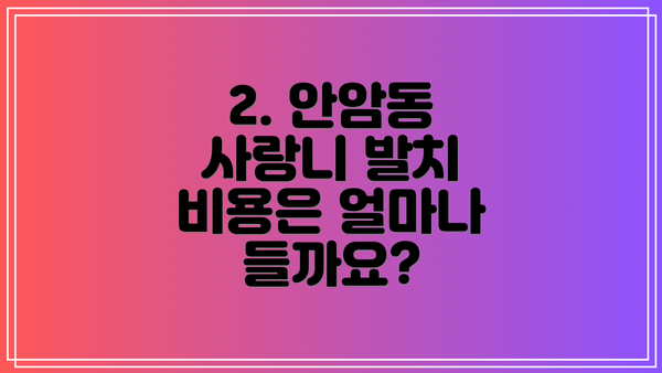 2. 안암동 사랑니 발치 비용은 얼마나 들까요?