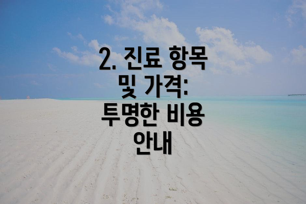 2. 진료 항목 및 가격: 투명한 비용 안내