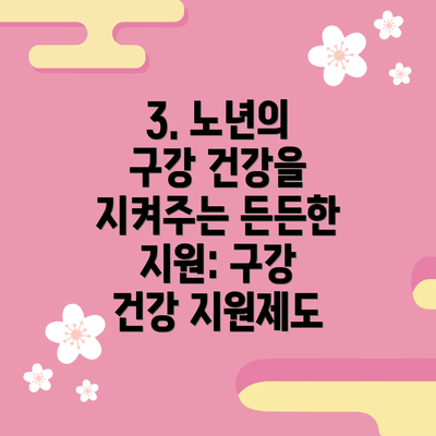 3. 노년의 구강 건강을 지켜주는 든든한 지원: 구강 건강 지원제도