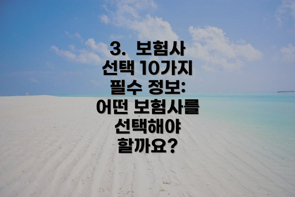 3.  보험사 선택 10가지 필수 정보: 어떤 보험사를 선택해야 할까요?