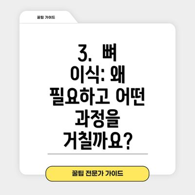 3.  뼈 이식: 왜 필요하고 어떤 과정을 거칠까요?