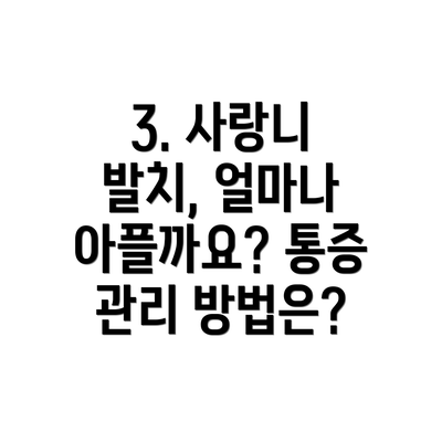 3. 사랑니 발치, 얼마나 아플까요? 통증 관리 방법은?