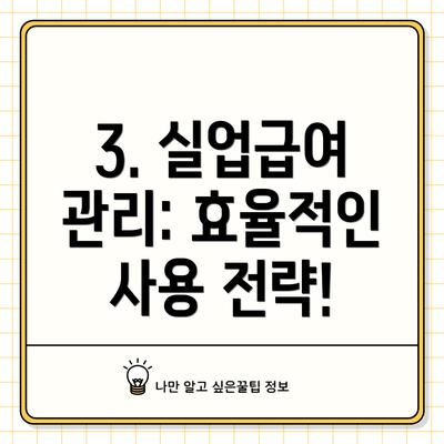 3. 실업급여 관리: 효율적인 사용 전략!