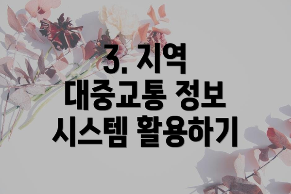 3. 지역 대중교통 정보 시스템 활용하기