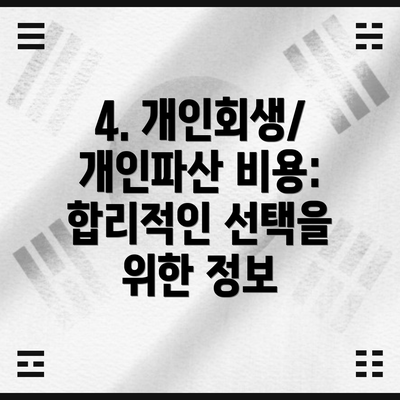 4. 개인회생/개인파산 비용:  합리적인 선택을 위한 정보