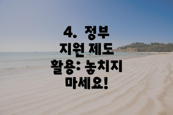 4.  정부 지원 제도 활용: 놓치지 마세요!