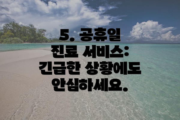5. 공휴일 진료 서비스:  긴급한 상황에도 안심하세요.