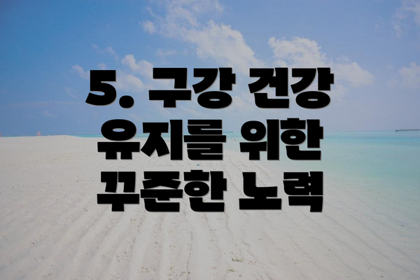 5. 구강 건강 유지를 위한 꾸준한 노력