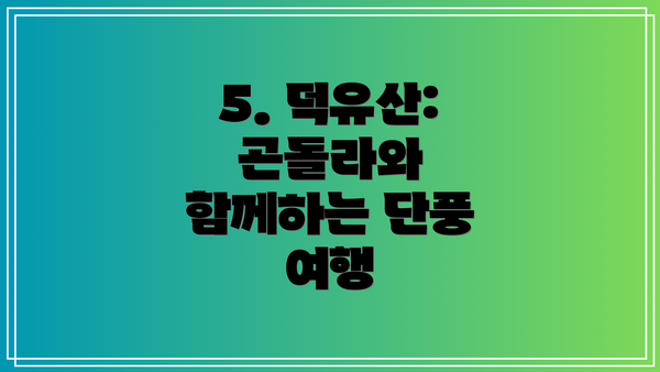 5. 덕유산: 곤돌라와 함께하는 단풍 여행