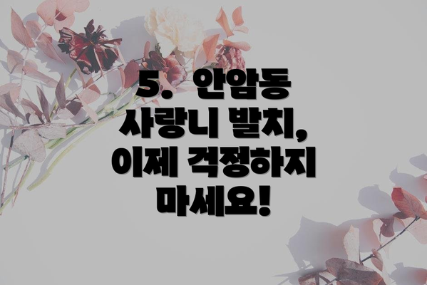 5.  안암동 사랑니 발치, 이제 걱정하지 마세요!