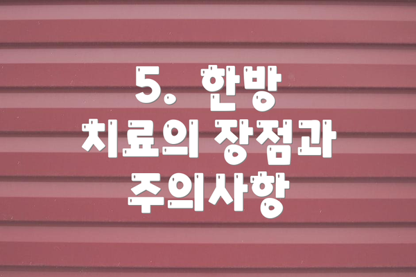 5.  한방 치료의 장점과 주의사항