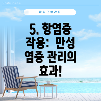 5. 항염증 작용:  만성 염증 관리의 효과!
