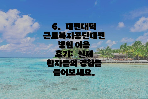 6.  대전대덕근로복지공단대전병원 이용 후기:  실제 환자들의 경험을 들어보세요.
