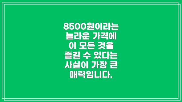 8500원이라는 놀라운 가격에 이 모든 것을 즐길 수 있다는 사실이 가장 큰 매력입니다.