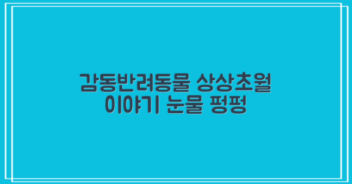 놀라운 반려동물, 상상초월 감동 이야기
