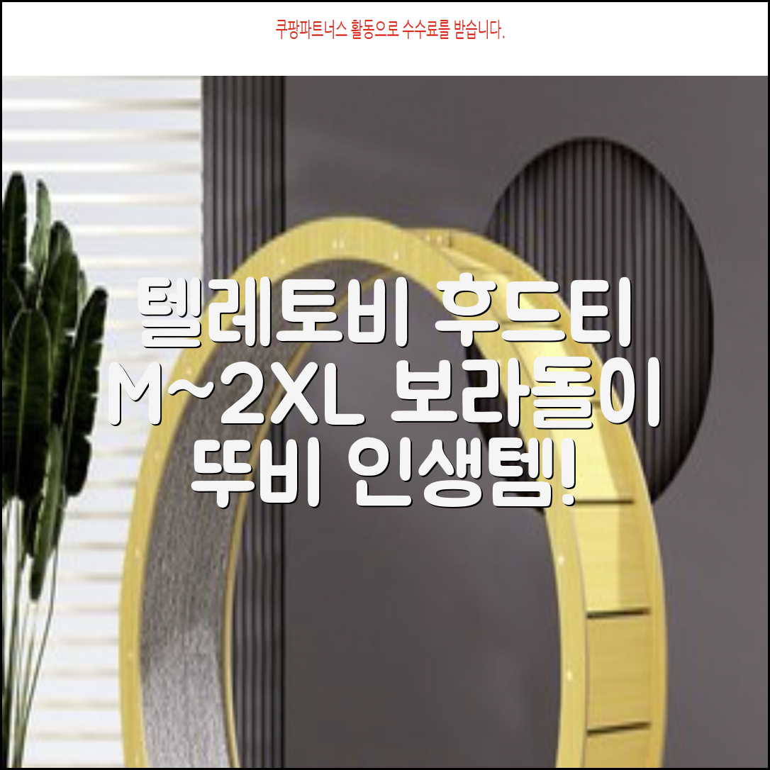 텔레토비 후드티 루즈핏 M~2XL 보라돌이 뚜비 나나 뽀 추천 리뷰