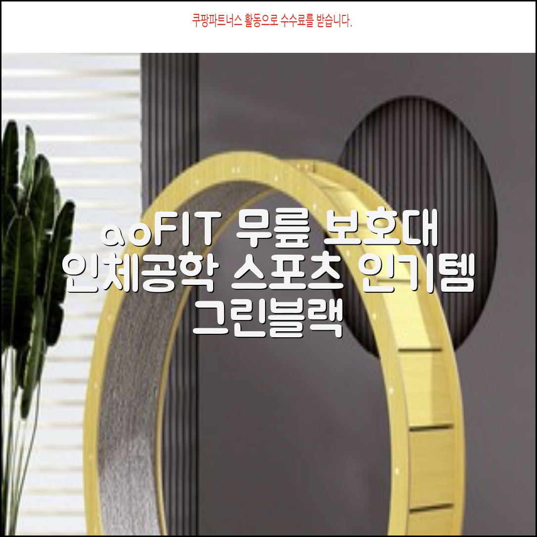 aoFIT무릎 보호대 전문 인체공학 스포츠 무릎받이, 1개, 그린블랙, 추천 리뷰