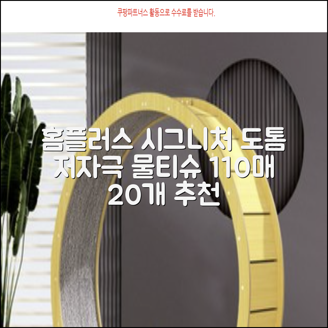 홈플러스 공식 본사 직영 simplus 도톰한 물티슈 캡형 저자극 심플러스 시그니처, 110매입, 20개 추천 리뷰