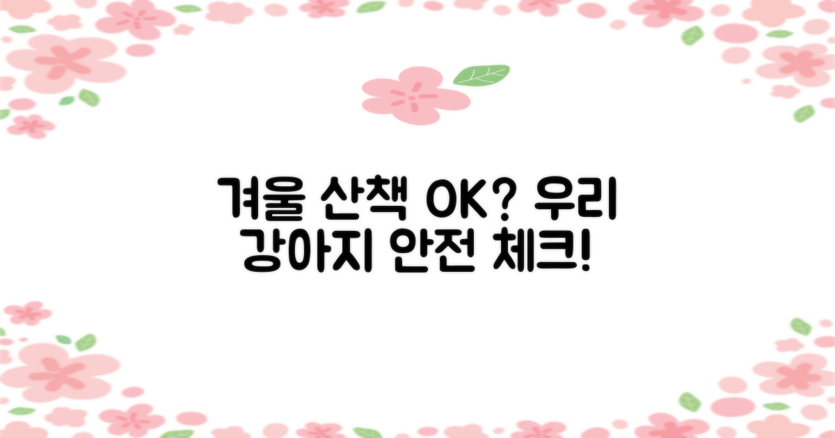 우리 강아지 겨울 산책, 문제 없을까?