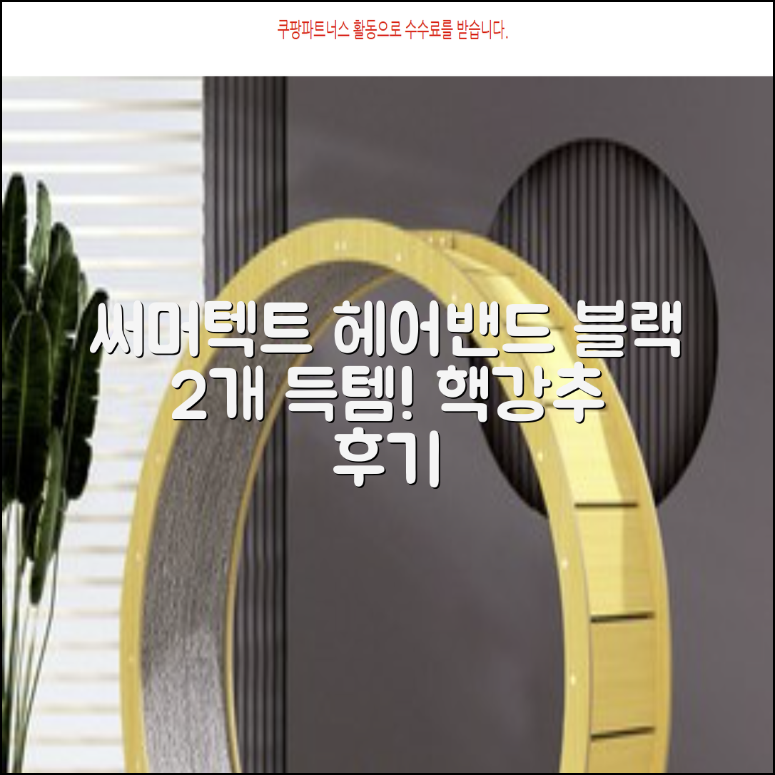 써머텍트 기능성 헤어밴드, 블랙, 2개 추천 리뷰