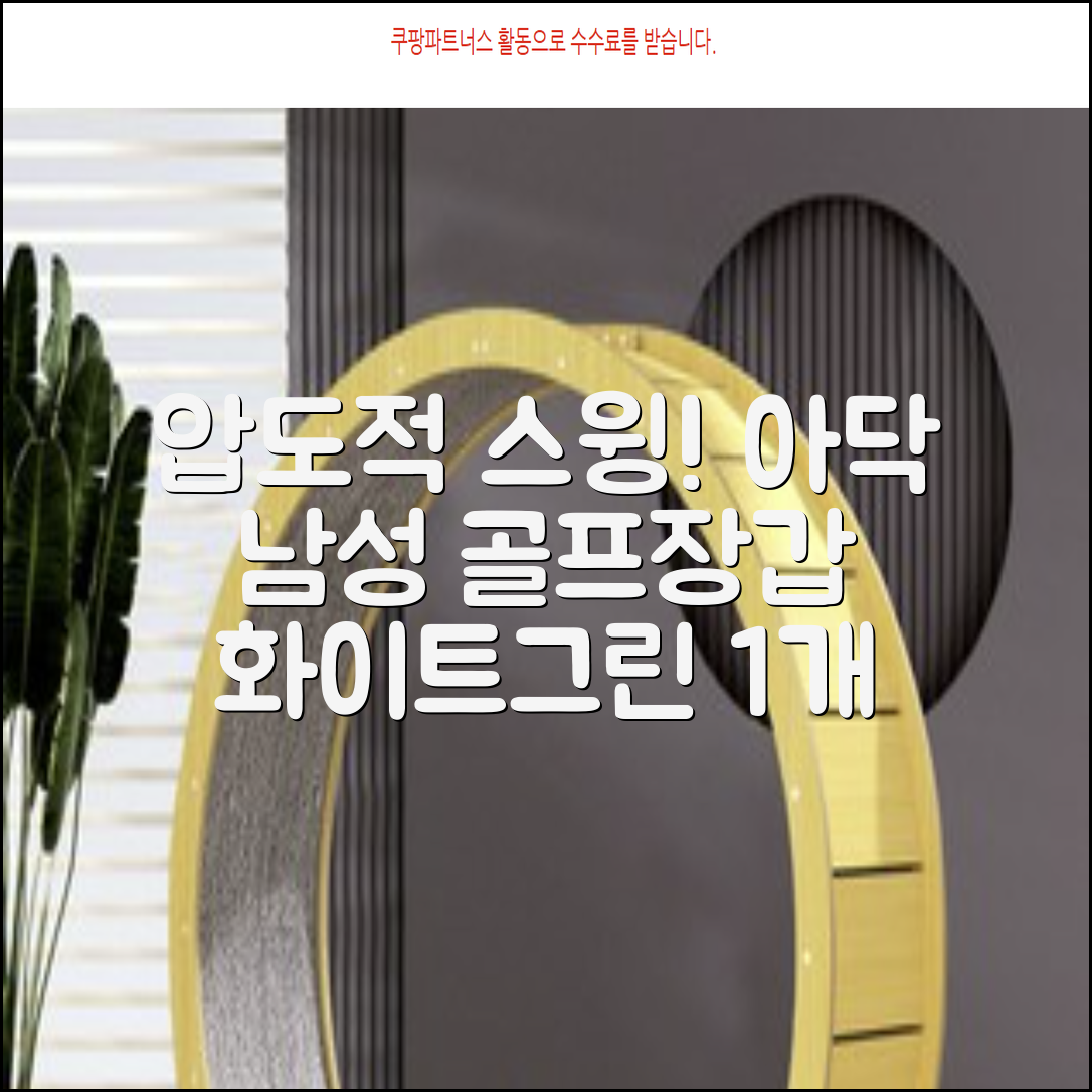 아닥 남성용 스윙템포칩 논슬립 골프장갑 왼손용, 화이트 + 그린, 1개 추천 리뷰