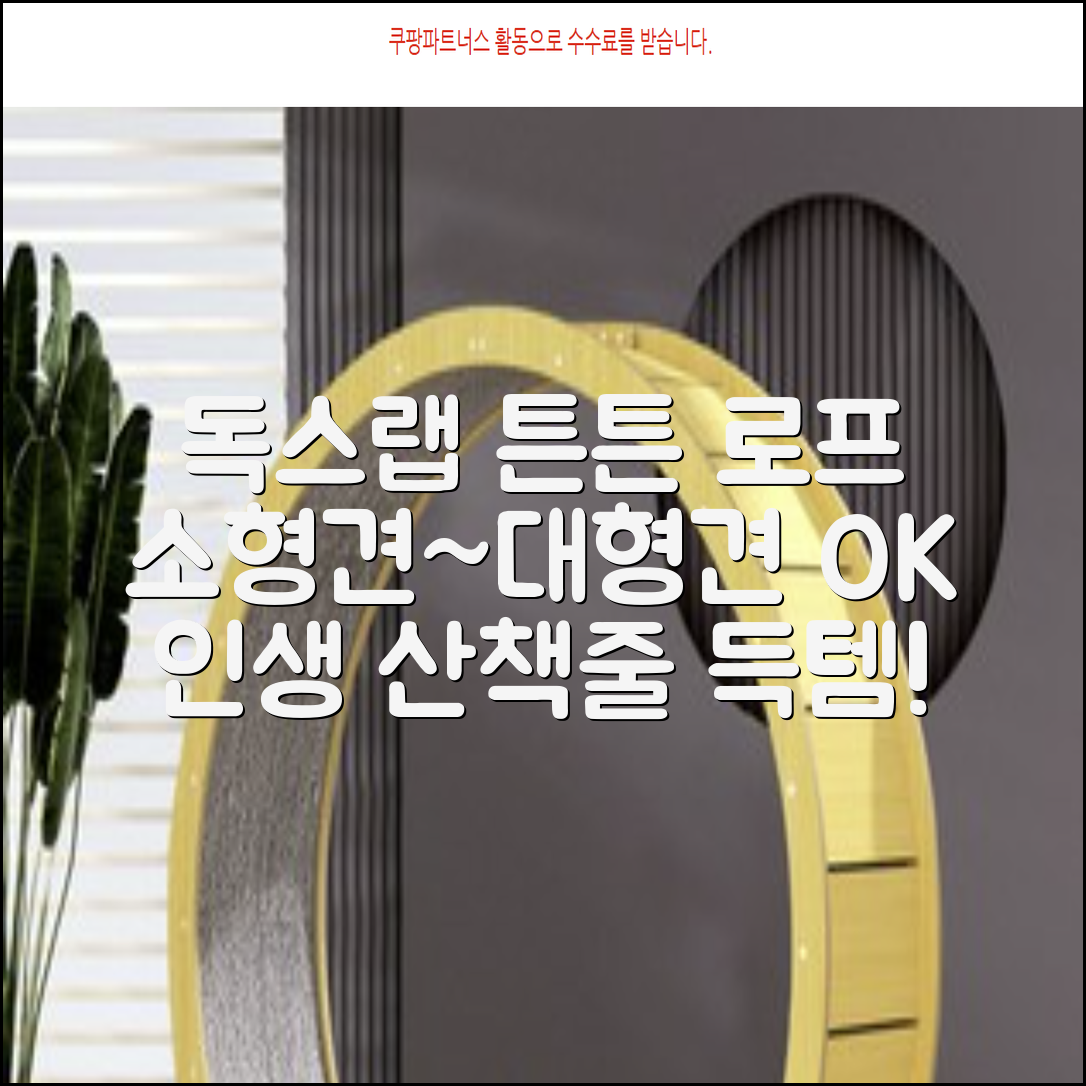 독스랩 1.5m 2m 3m 5m 스트롱 로프 소형견 중형견 대형견 줄 강아지 리드줄 산책줄, 블랙, 1개 추천 리뷰