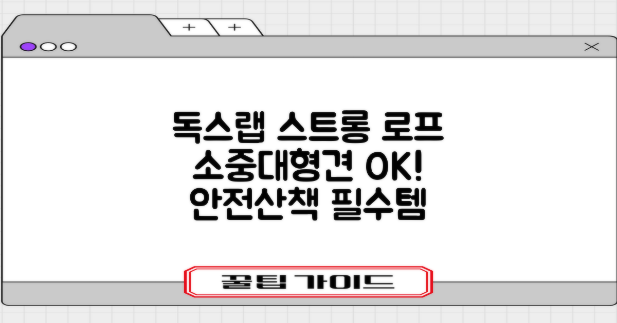독스랩 1.5m 2m 3m 5m 스트롱 로프 소형견 중형견 대형견 줄 강아지 리드줄 산책줄, 블랙, 1개 추천 리뷰
