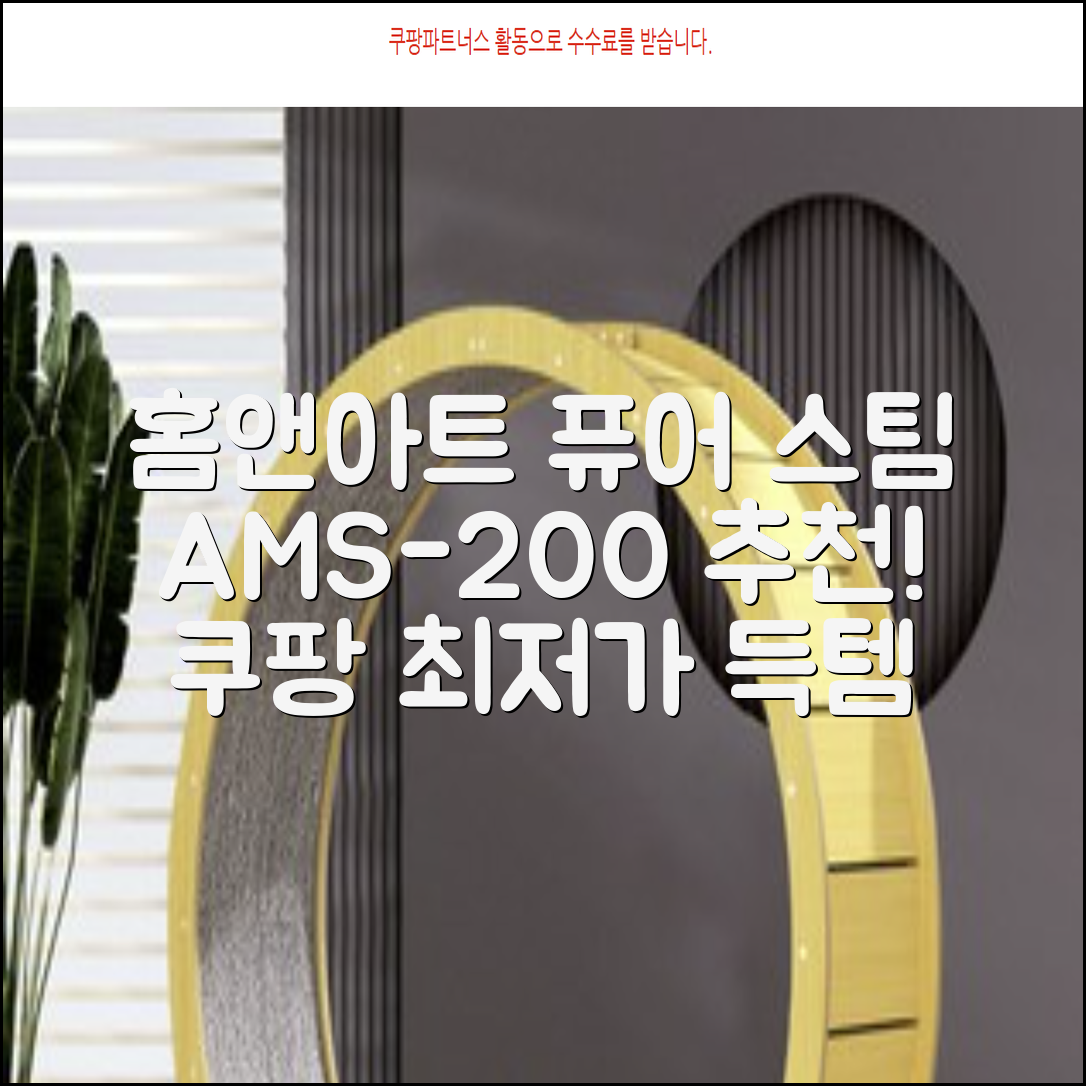 홈앤아트 퓨어 스팀청소기 AMS-200 추천 리뷰