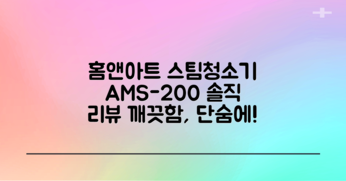 홈앤아트 퓨어 스팀청소기 AMS-200 추천 리뷰