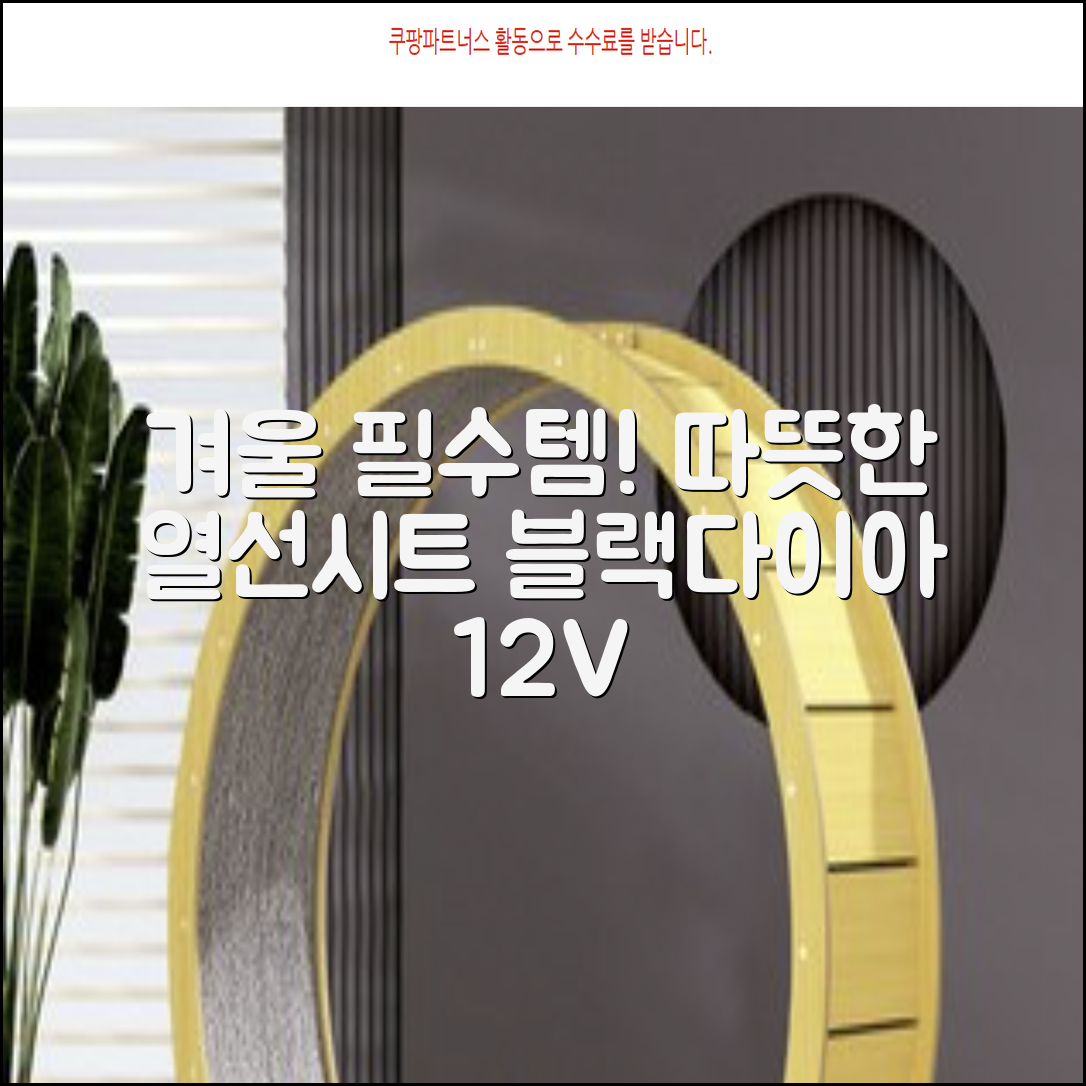 블랙다이아 차량용 열선시트 (1P) 털 겨울 히팅 전기시트, 1개, 12V (운전/조수석) 추천 리뷰