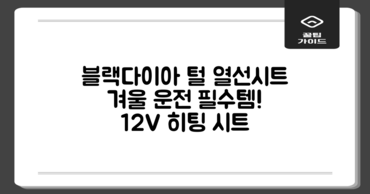 블랙다이아 차량용 열선시트 (1P) 털 겨울 히팅 전기시트, 1개, 12V (운전/조수석) 추천 리뷰