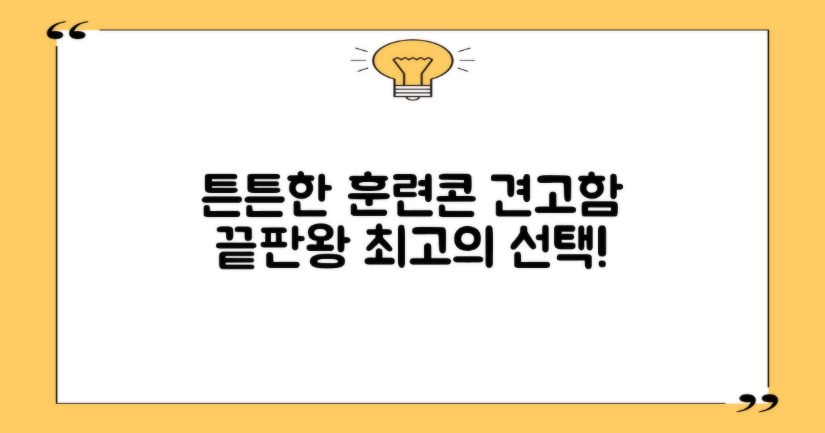 튼튼한 훈련 콘 추천