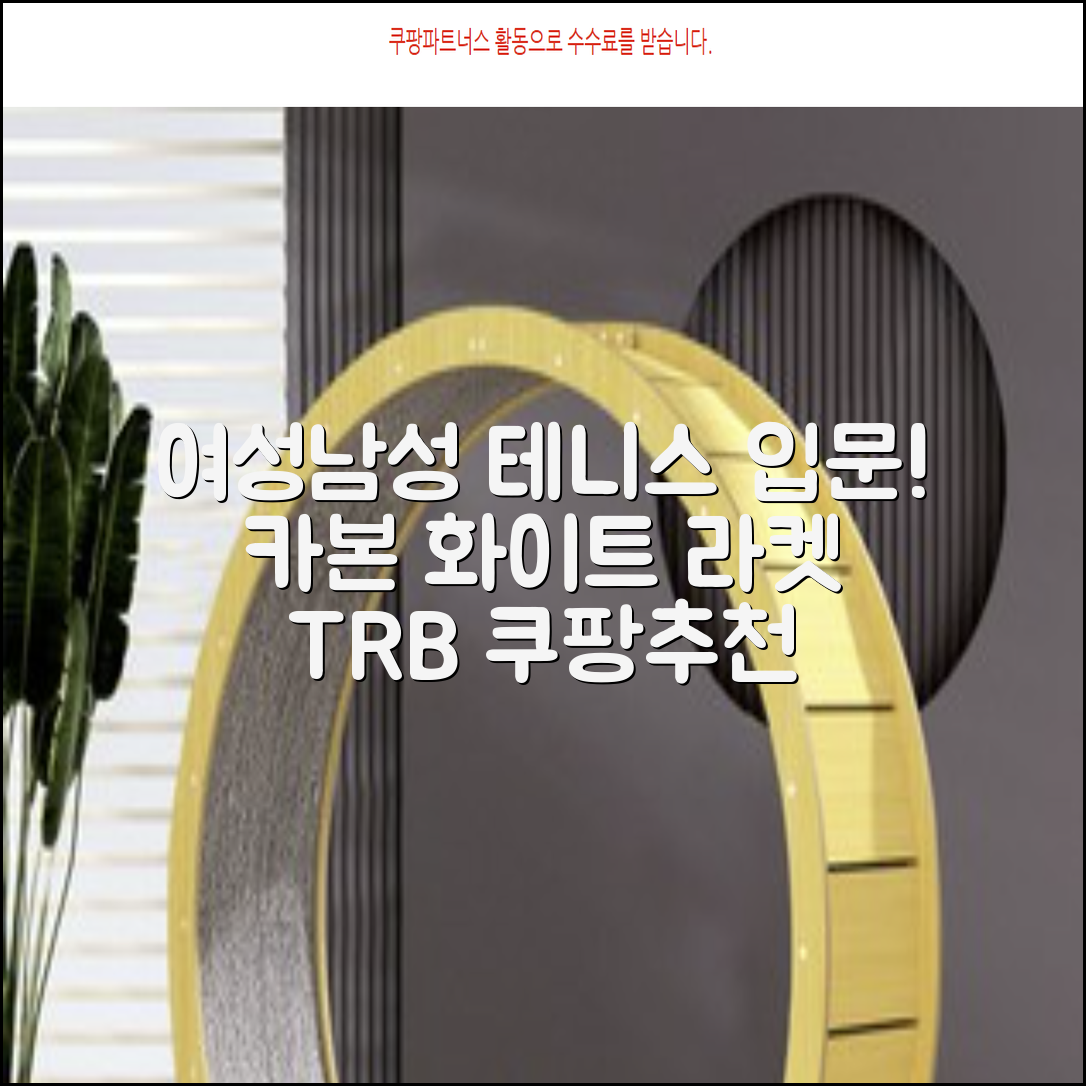 티알비 입문용 테니스라켓 여성 남자, 1개, 카본 화이트 추천 리뷰