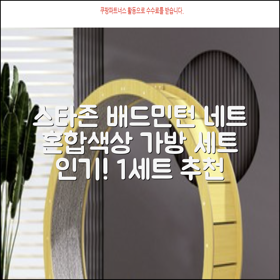 스타존 배드민턴 그물 네트 + 가방, 혼합색상, 1세트 추천 리뷰
