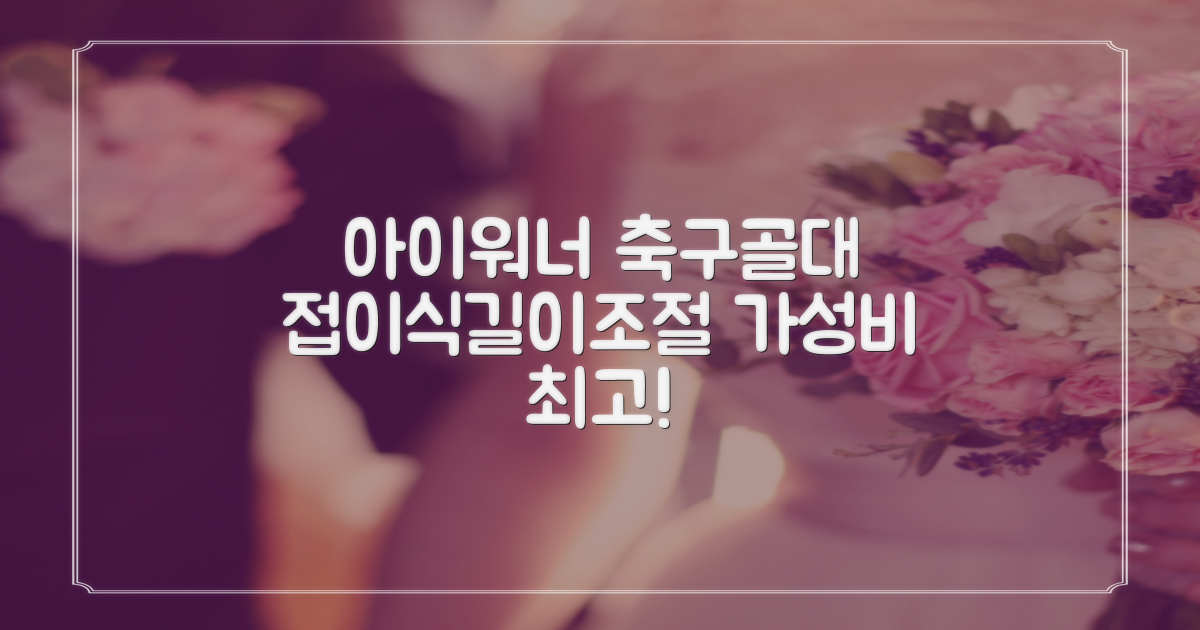 아이워너 길이 조절 접이식 축구골대 세트, 혼합색상, 1세트 추천 리뷰