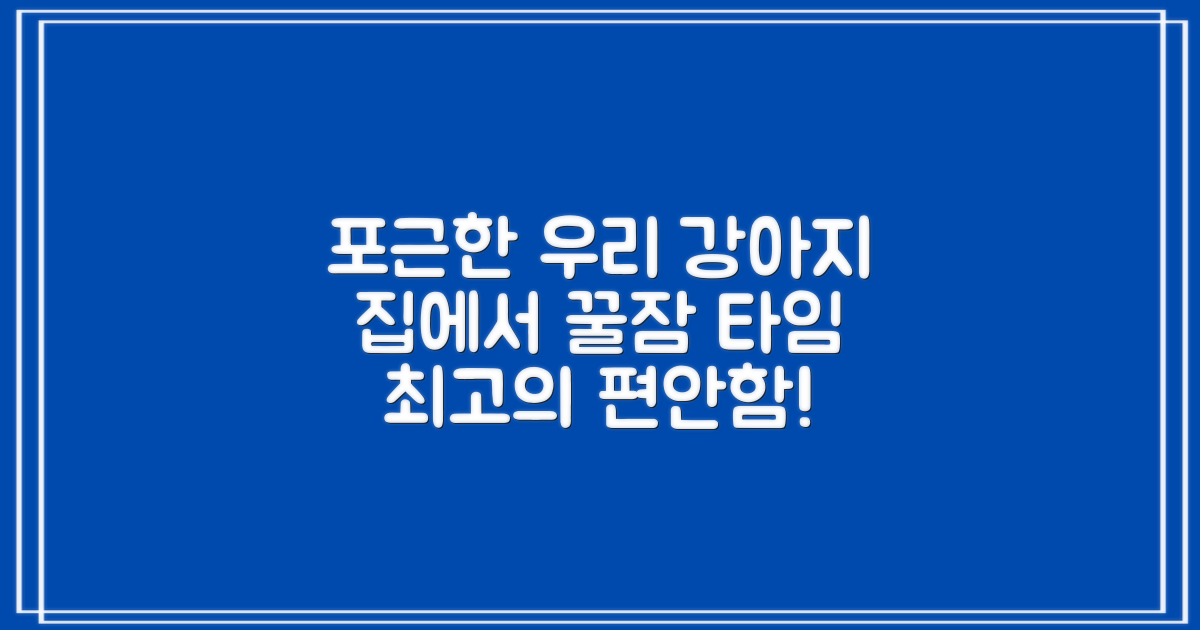 우리 강아지, 포근하게!