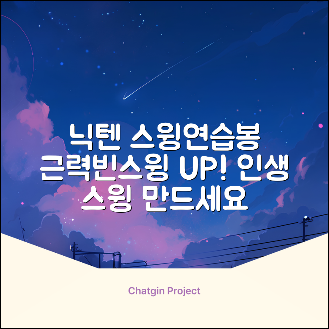 닉텐 배드민턴 스윙연습봉 - 근력강화 및 빈스윙연습, 1개, 스윙연습기 추천 리뷰