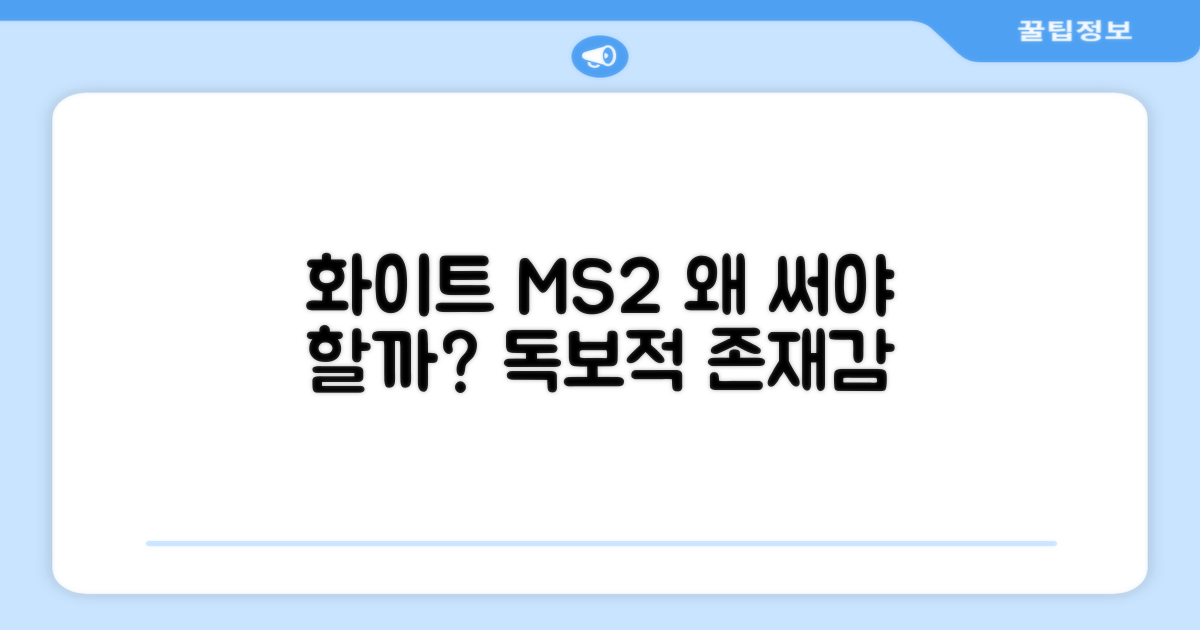 화이트 MS2, 왜 선택해야 할까요?
