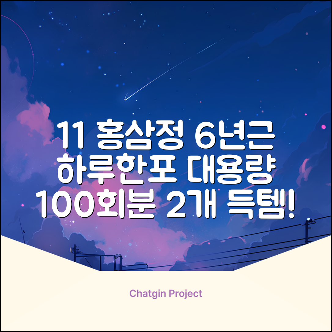 [1+1 특가] 홍삼정 6년근 하루한포 100회분 대용량+쇼핑백, 2개, 1L 추천 리뷰